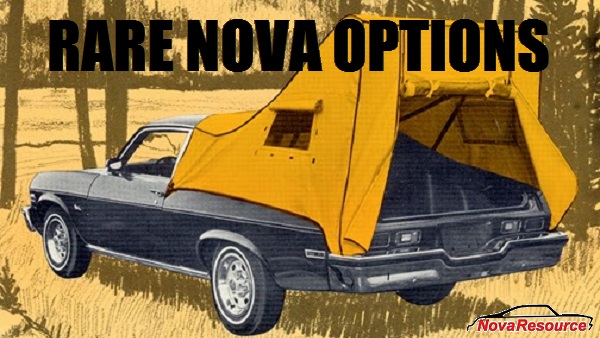 NovaResource VLOG 08: Rare vs Valuable Nova Options